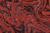 Polished Snakeskin Jasper Slab - Western Australia #221527-1